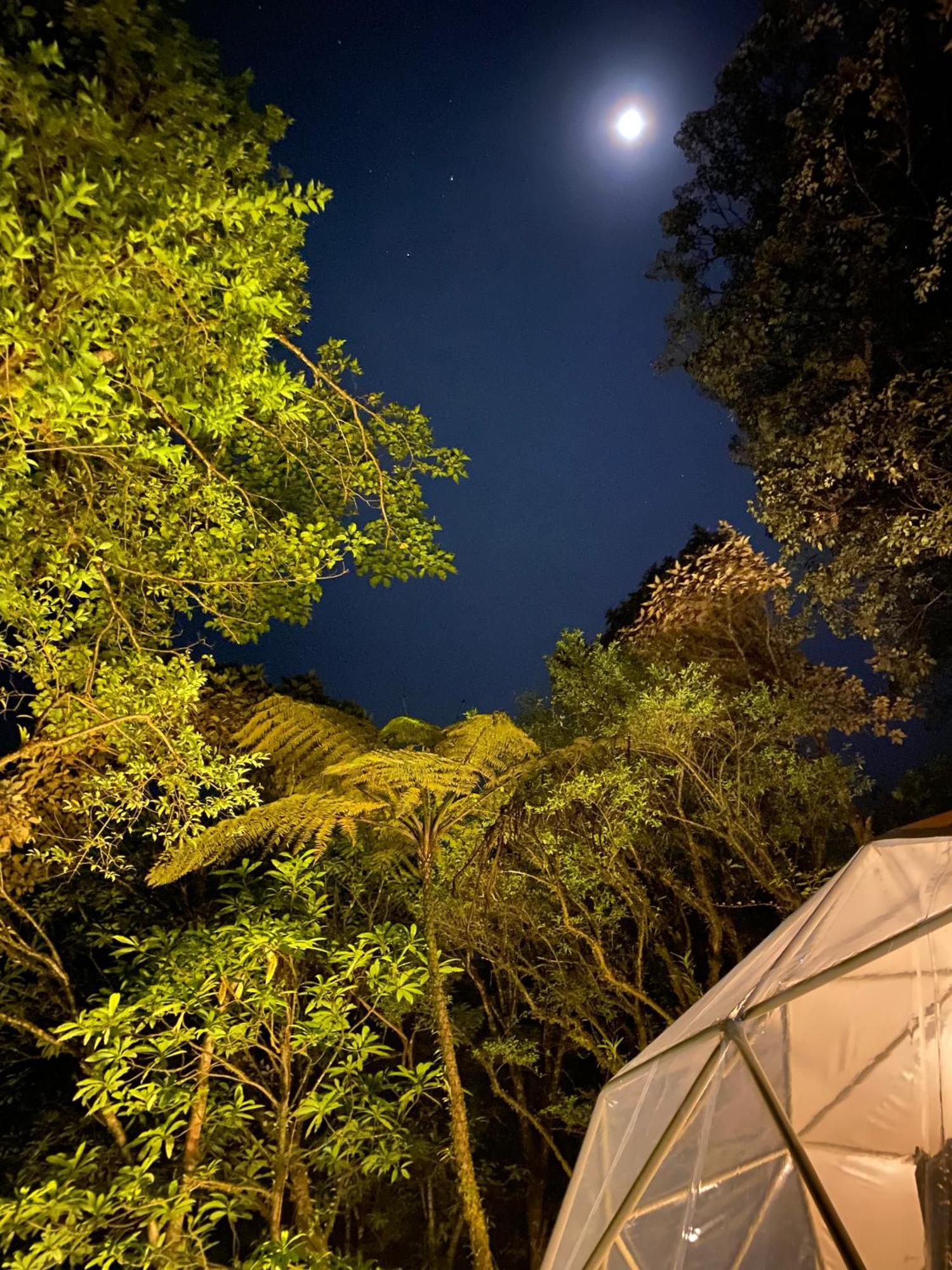 Way To Heaven Glamping Otel Monteverde Dış mekan fotoğraf